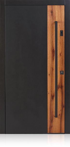 Haustür DL711 mit Fingerscan im Türblatt schwarz 